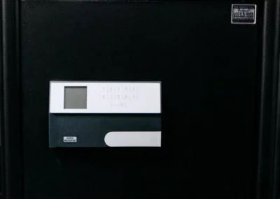 Safe with biometric and keypad entry